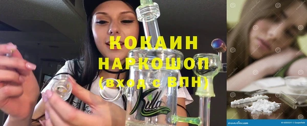 ешки Аркадак