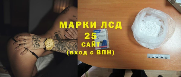 ешки Аркадак