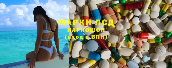 ешки Аркадак