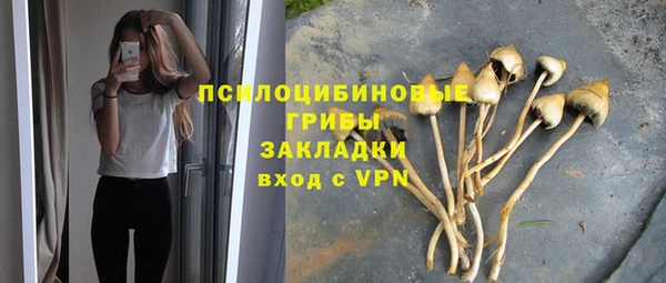 гашиш Арсеньев