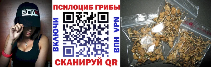 Галлюциногенные грибы Cubensis blacksprut рабочий сайт Полевской